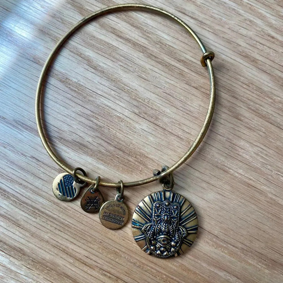 Alex and Ani Hamsa Hand of Fatima Charm Bangle Bracelet for Faith Positivity - Picture 3 of 3